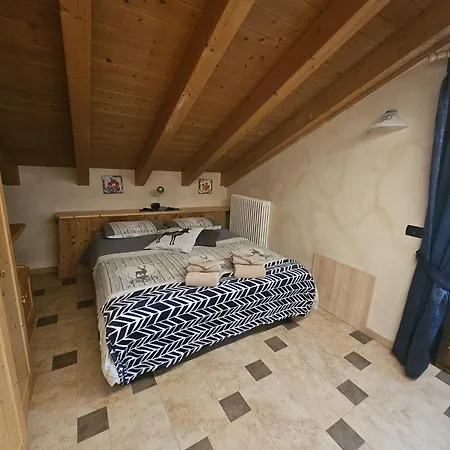 Li Daniela 리비뇨